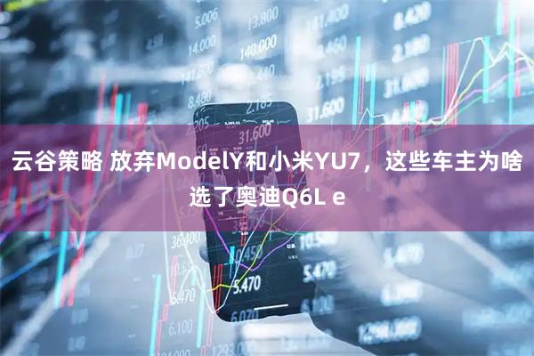 云谷策略 放弃ModelY和小米YU7，这些车主为啥选了奥迪Q6L e