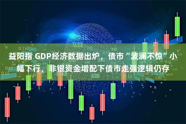 益阳指 GDP经济数据出炉，债市“波澜不惊”小幅下行，非银资金增配下债市走强逻辑仍存