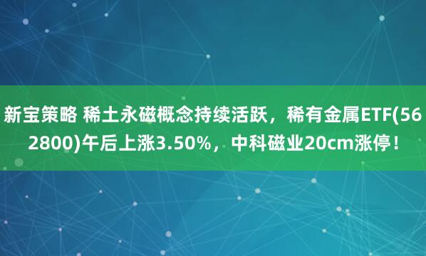 新宝策略 稀土永磁概念持续活跃,稀有金属ETF(562800)午后上涨3.50%,中科磁业20cm涨停!