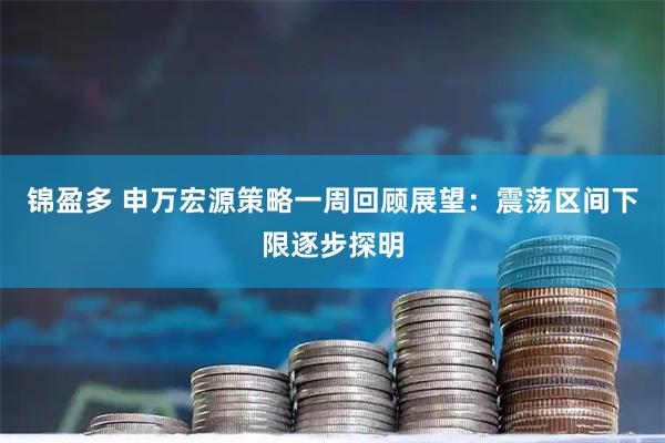 锦盈多 申万宏源策略一周回顾展望：震荡区间下限逐步探明