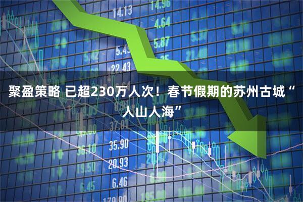 聚盈策略 已超230万人次！春节假期的苏州古城“人山人海”