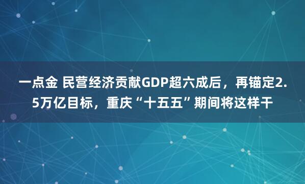 一点金 民营经济贡献GDP超六成后,再锚定2.5万亿目标,重庆“十五五”期间将这样干
